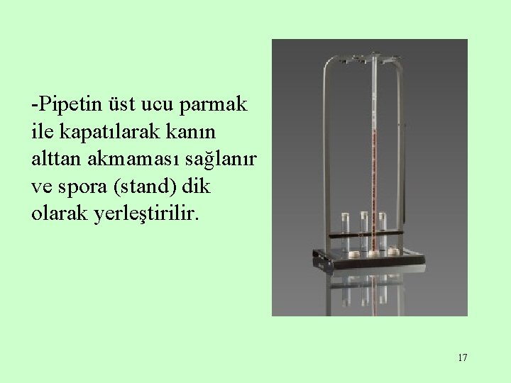 -Pipetin üst ucu parmak ile kapatılarak kanın alttan akmaması sağlanır ve spora (stand) dik