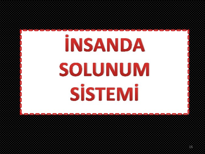 İNSANDA SOLUNUM SİSTEMİ 15 