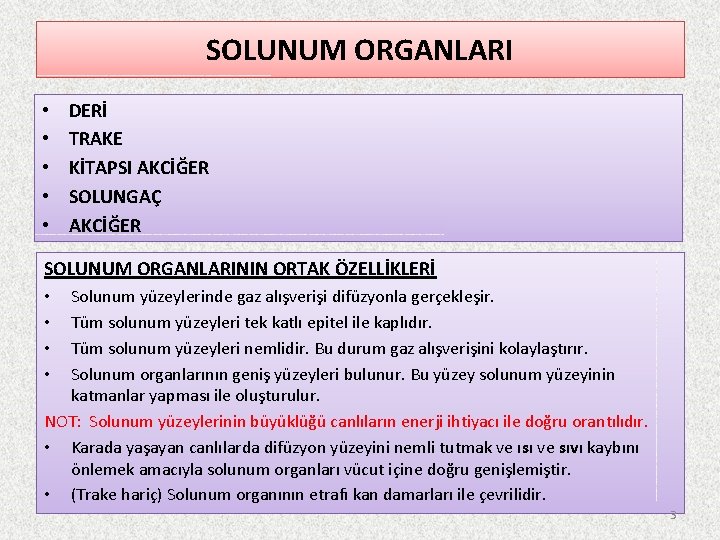 SOLUNUM ORGANLARI • • • DERİ TRAKE KİTAPSI AKCİĞER SOLUNGAÇ AKCİĞER SOLUNUM ORGANLARININ ORTAK