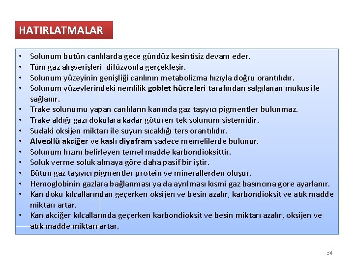 HATIRLATMALAR • • • • Solunum bütün canlılarda gece gündüz kesintisiz devam eder. Tüm
