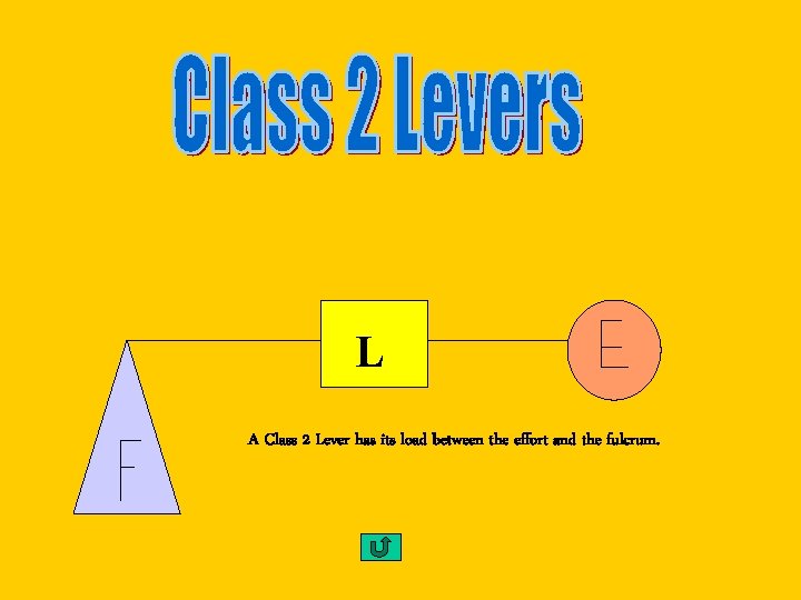 L A Class 2 Lever has its load between the effort and the fulcrum.