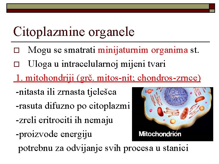 Citoplazmine organele Mogu se smatrati minijaturnim organima st. o Uloga u intracelularnoj mijeni tvari