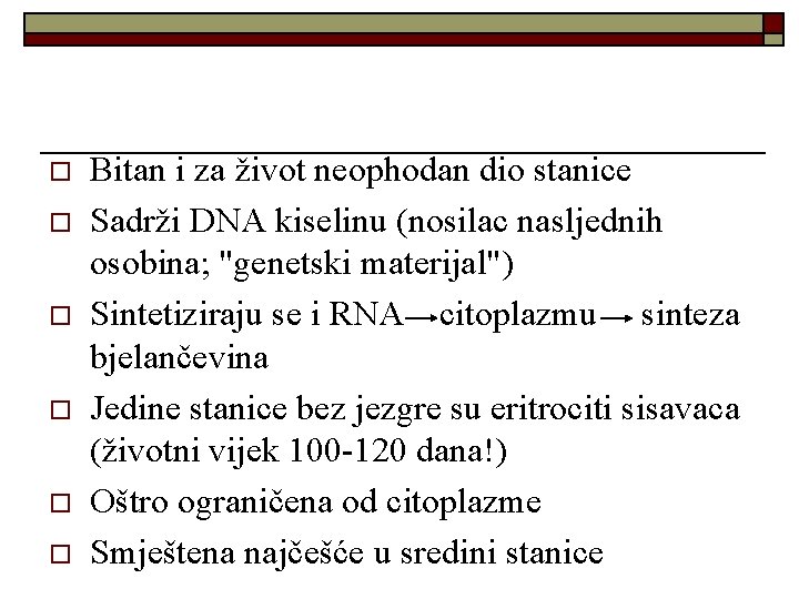 o o o Bitan i za život neophodan dio stanice Sadrži DNA kiselinu (nosilac