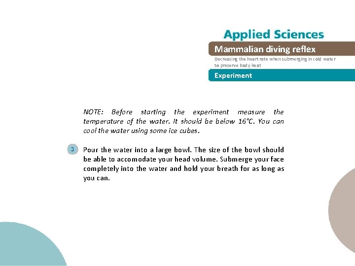 Mammalian Mammal divingeffect reflex Decreasing the heart rate when submerging seemingin incoldwater to to Mammalian Mammal divingeffect reflex Decreasing the heart rate when submerging seemingin incoldwater to to