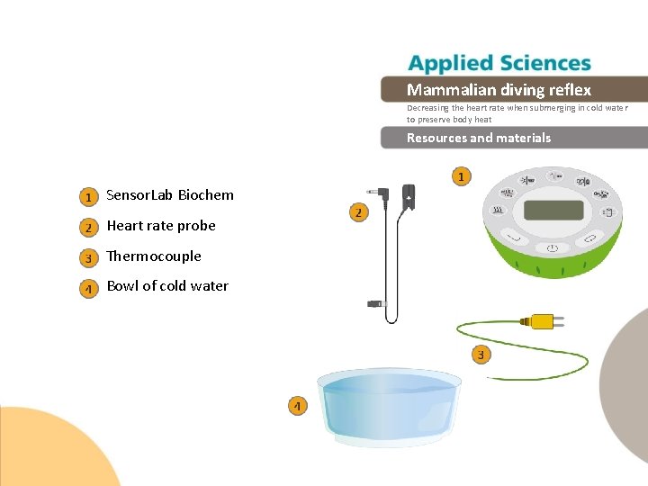 Mammalian diving reflex Decreasing the heart rate when submerging in cold water to preserve Mammalian diving reflex Decreasing the heart rate when submerging in cold water to preserve