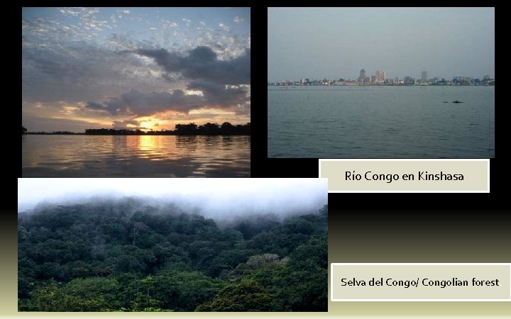Río Congo en Kinshasa Selva del Congo/ Congolian forest. 