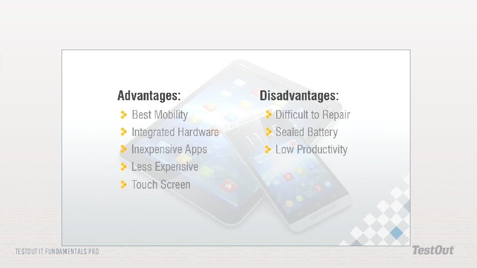 TESTOUT IT FUNDAMENTALS PRO 