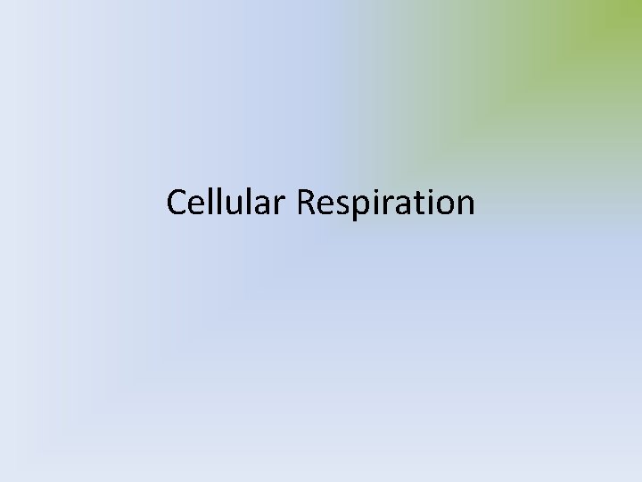 Cellular Respiration 