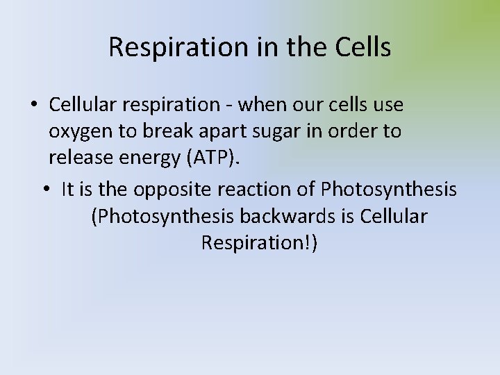 Respiration in the Cells • Cellular respiration - when our cells use oxygen to