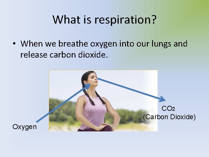 What is respiration? • When we breathe oxygen into our lungs and release carbon