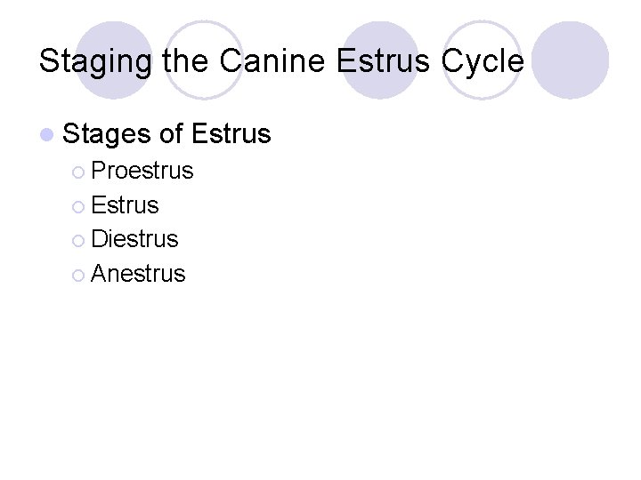 Staging the Canine Estrus Cycle l Stages of Estrus ¡ Proestrus ¡ Estrus ¡