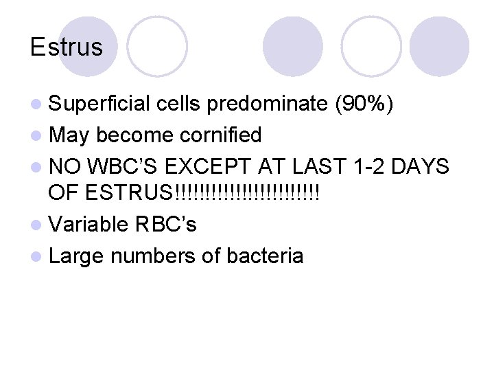 Estrus l Superficial cells predominate (90%) l May become cornified l NO WBC’S EXCEPT