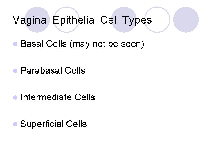 Vaginal Epithelial Cell Types l Basal Cells (may not be seen) l Parabasal Cells