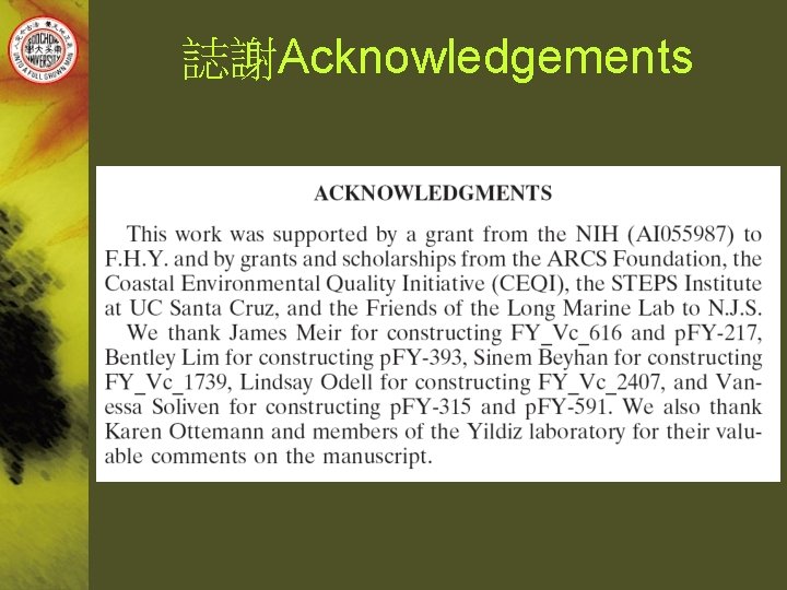 誌謝Acknowledgements 