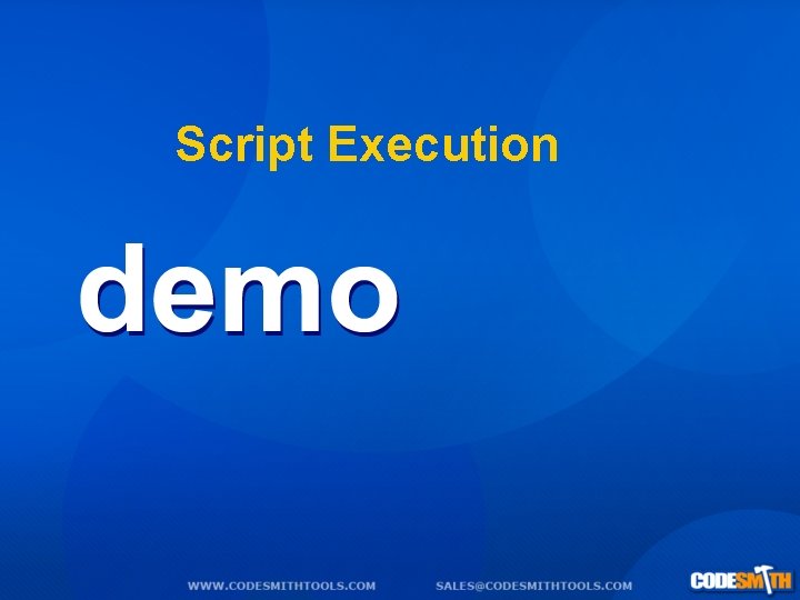 Script Execution 
