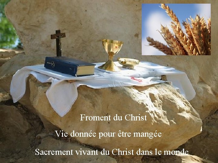 Froment du Christ Vie donnée pour être mangée Sacrement vivant du Christ dans le