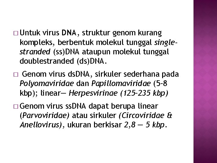 � Untuk virus DNA, struktur genom kurang kompleks, berbentuk molekul tunggal singlestranded (ss)DNA ataupun