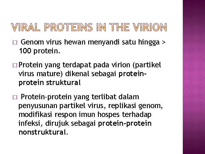 � Genom virus hewan menyandi satu hingga > 100 protein. � Protein yang terdapat