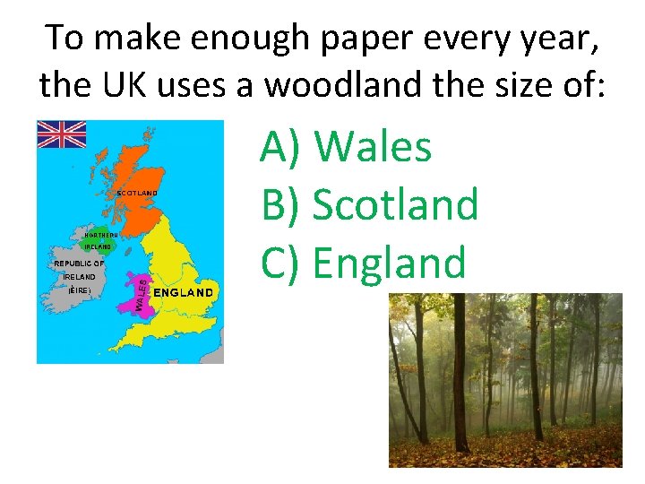 To make enough paper every year, the UK uses a woodland the size of: