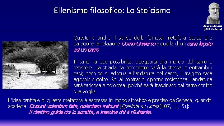 Ellenismo filosofico: Lo Stoicismo Zenone di Cizio (333 -263 a. C. ) Questo è