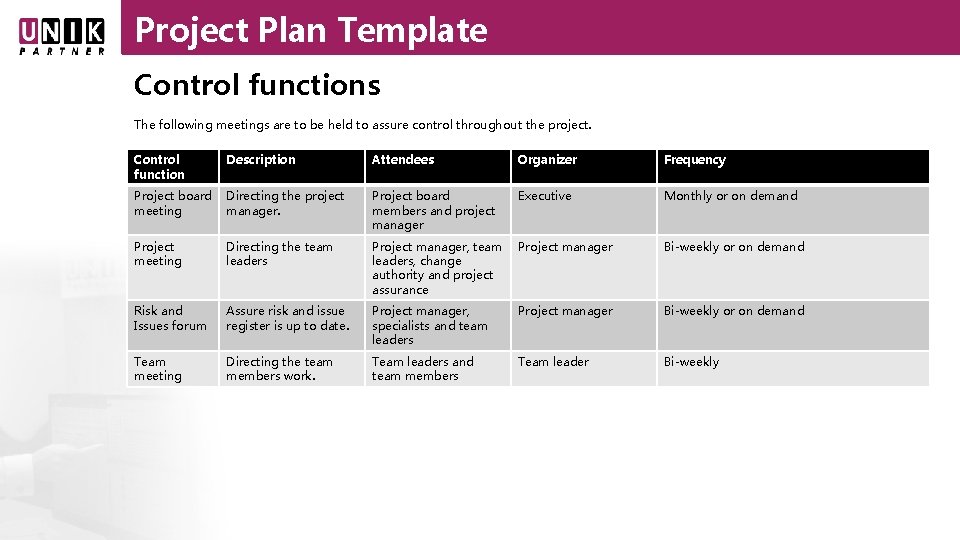 Project Plan Template Control functions The following meetings are to be held to assure