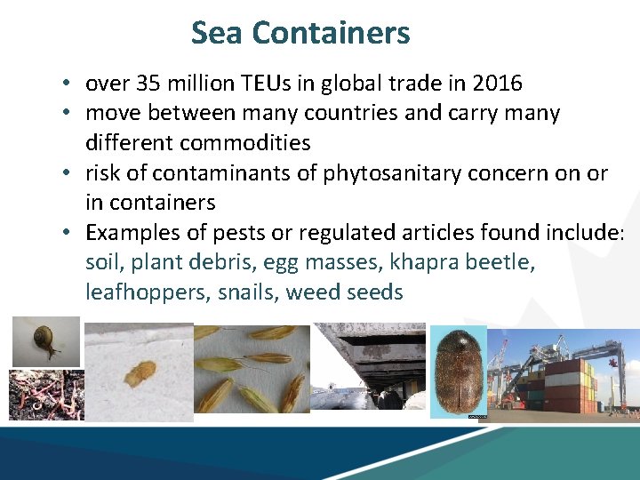 Sea Containers • over 35 million TEUs in global trade in 2016 • move