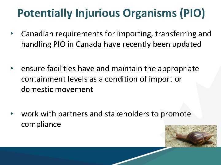 Potentially Injurious Organisms (PIO) • Canadian requirements for importing, transferring and handling PIO in