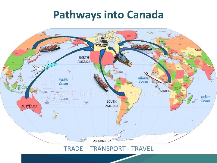 Pathways into Canada TRADE – TRANSPORT - TRAVEL 