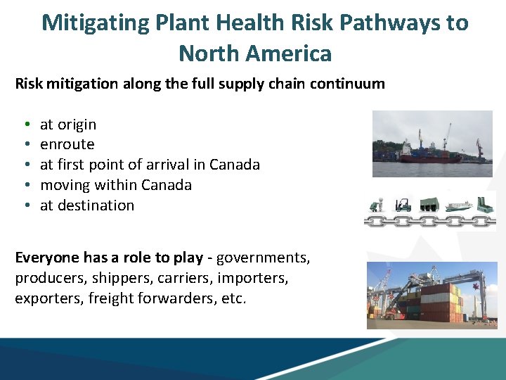 Mitigating Plant Health Risk Pathways to North America Risk mitigation along the full supply
