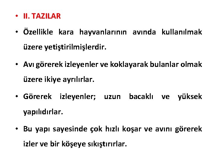  • II. TAZILAR • Özellikle kara hayvanlarının avında kullanılmak üzere yetiştirilmişlerdir. • Avı