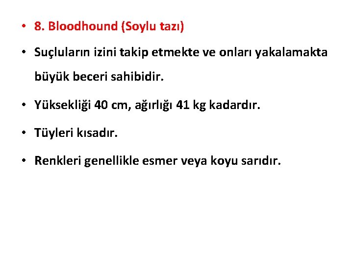  • 8. Bloodhound (Soylu tazı) • Suçluların izini takip etmekte ve onları yakalamakta