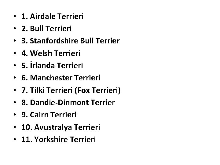  • • • 1. Airdale Terrieri 2. Bull Terrieri 3. Stanfordshire Bull Terrier