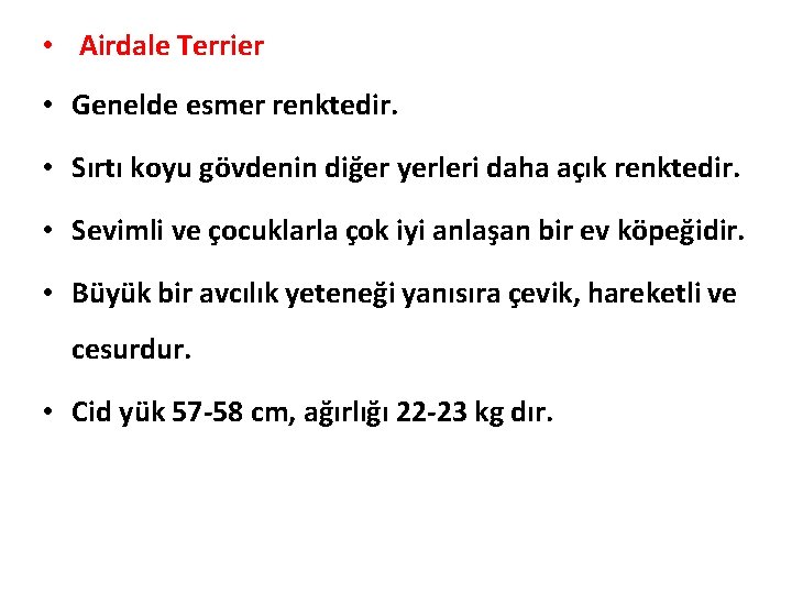  • Airdale Terrier • Genelde esmer renktedir. • Sırtı koyu gövdenin diğer yerleri