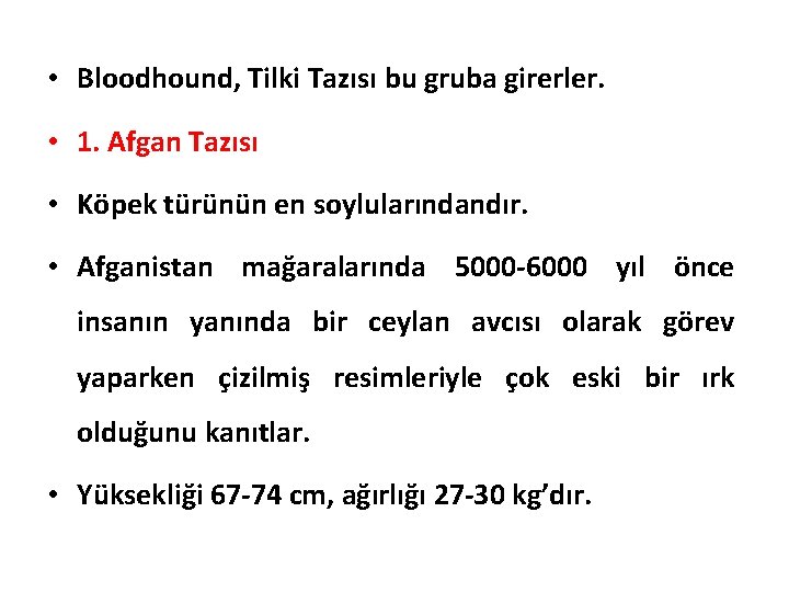  • Bloodhound, Tilki Tazısı bu gruba girerler. • 1. Afgan Tazısı • Köpek