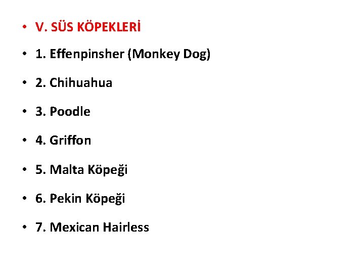  • V. SÜS KÖPEKLERİ • 1. Effenpinsher (Monkey Dog) • 2. Chihuahua •