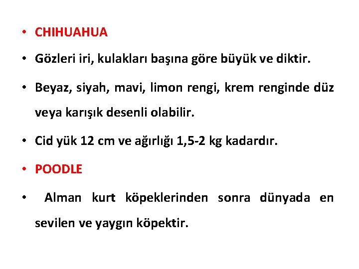  • CHIHUAHUA • Gözleri iri, kulakları başına göre büyük ve diktir. • Beyaz,