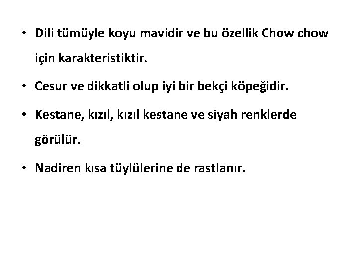  • Dili tümüyle koyu mavidir ve bu özellik Chow chow için karakteristiktir. •