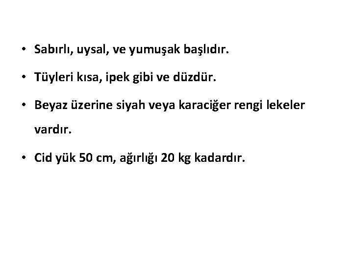  • Sabırlı, uysal, ve yumuşak başlıdır. • Tüyleri kısa, ipek gibi ve düzdür.