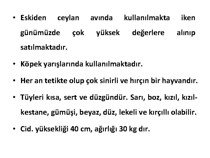  • Eskiden ceylan günümüzde çok avında yüksek kullanılmakta iken değerlere alınıp satılmaktadır. •