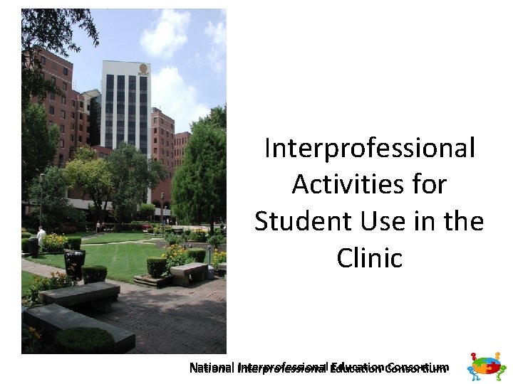 Interprofessional Activities for Student Use in the Clinic Interprofessional Education. Consortium National Interprofessional 