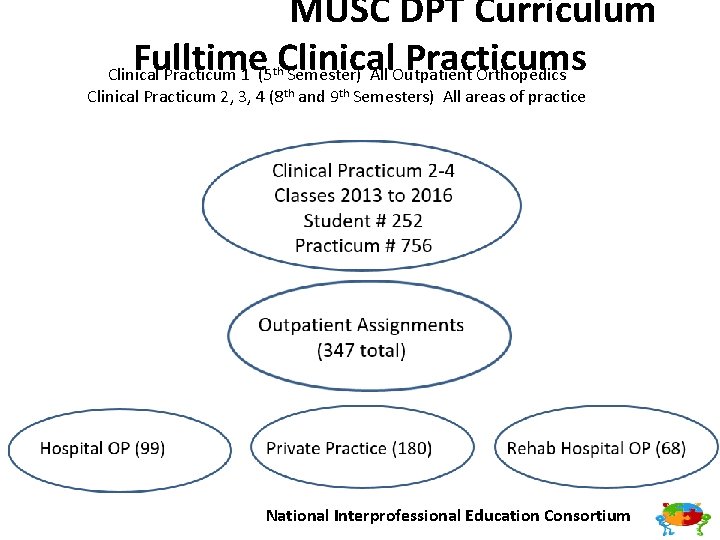 MUSC DPT Curriculum Fulltime Clinical Practicums Clinical Practicum 1 (5 Semester) All Outpatient Orthopedics