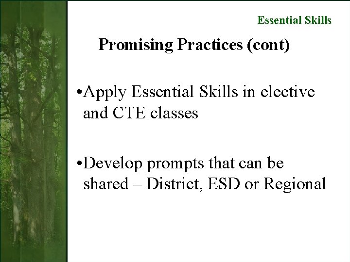 Essential Skills Promising Practices (cont) • Apply Essential Skills in elective and CTE classes