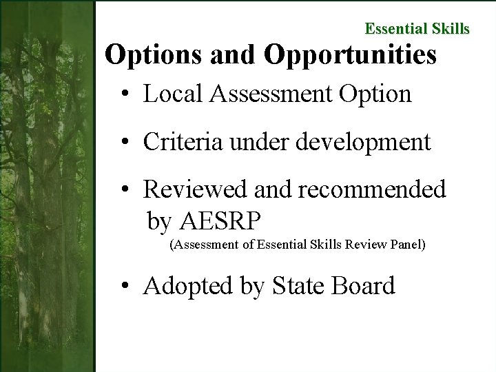 Essential Skills Options and Opportunities • Local Assessment Option • Criteria under development •