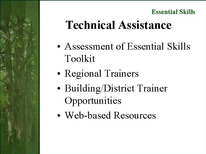 Essential Skills Technical Assistance • Assessment of Essential Skills Toolkit • Regional Trainers •