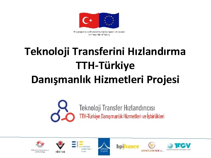 Teknoloji Transferini Hızlandırma TTH-Türkiye Danışmanlık Hizmetleri Projesi 