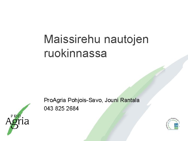 Maissirehu nautojen ruokinnassa Pro. Agria Pohjois-Savo, Jouni Rantala 043 825 2684 
