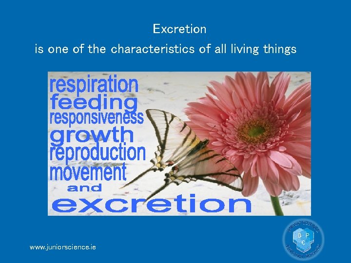Excretion is one of the characteristics of all living things www. juniorscience. ie 