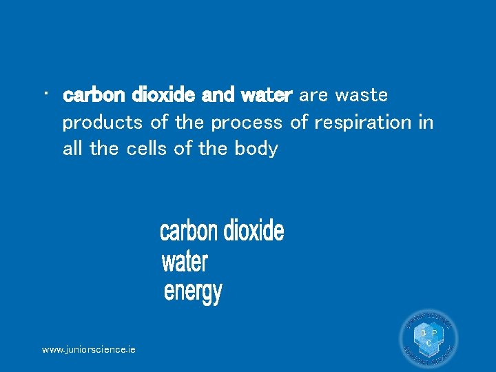  • carbon dioxide and water are waste products of the process of respiration