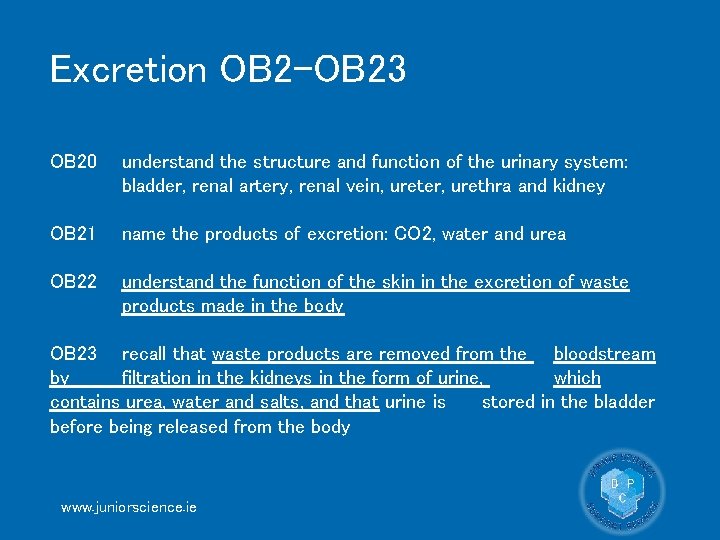 Excretion OB 2 -OB 23 OB 20 understand the structure and function of the