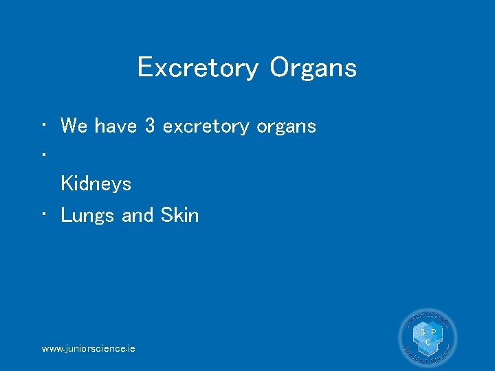 Excretory Organs • We have 3 excretory organs • Kidneys • Lungs and Skin
